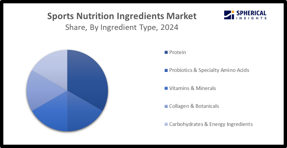Sports Nutrition Ingredients Market 