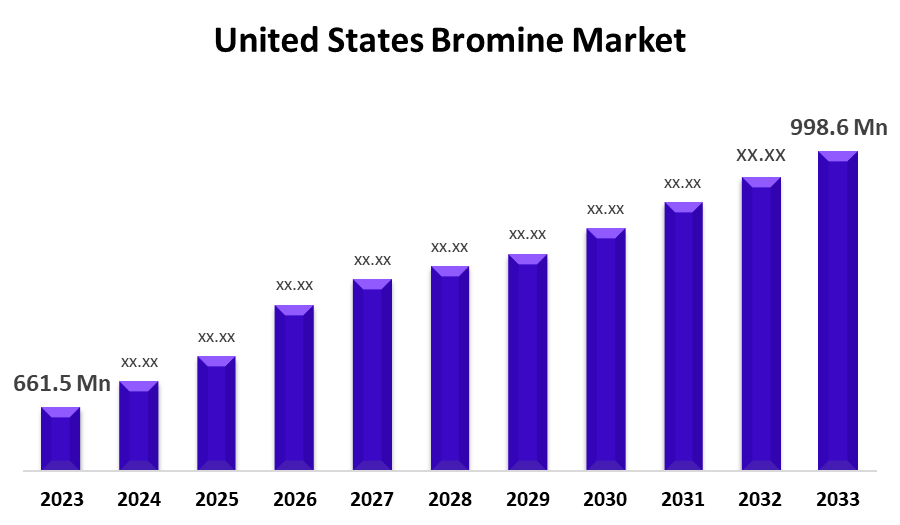 United States Bromine Market 